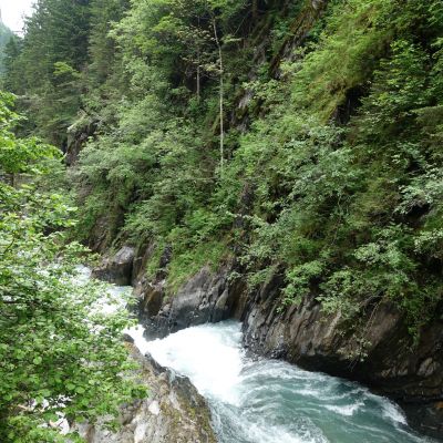 image0173d346fa5-1356-7624-9ffd-fcddb5d317d69C8B00A2-CB94-B89A-FA4A-65C60AE13CC3.jpg